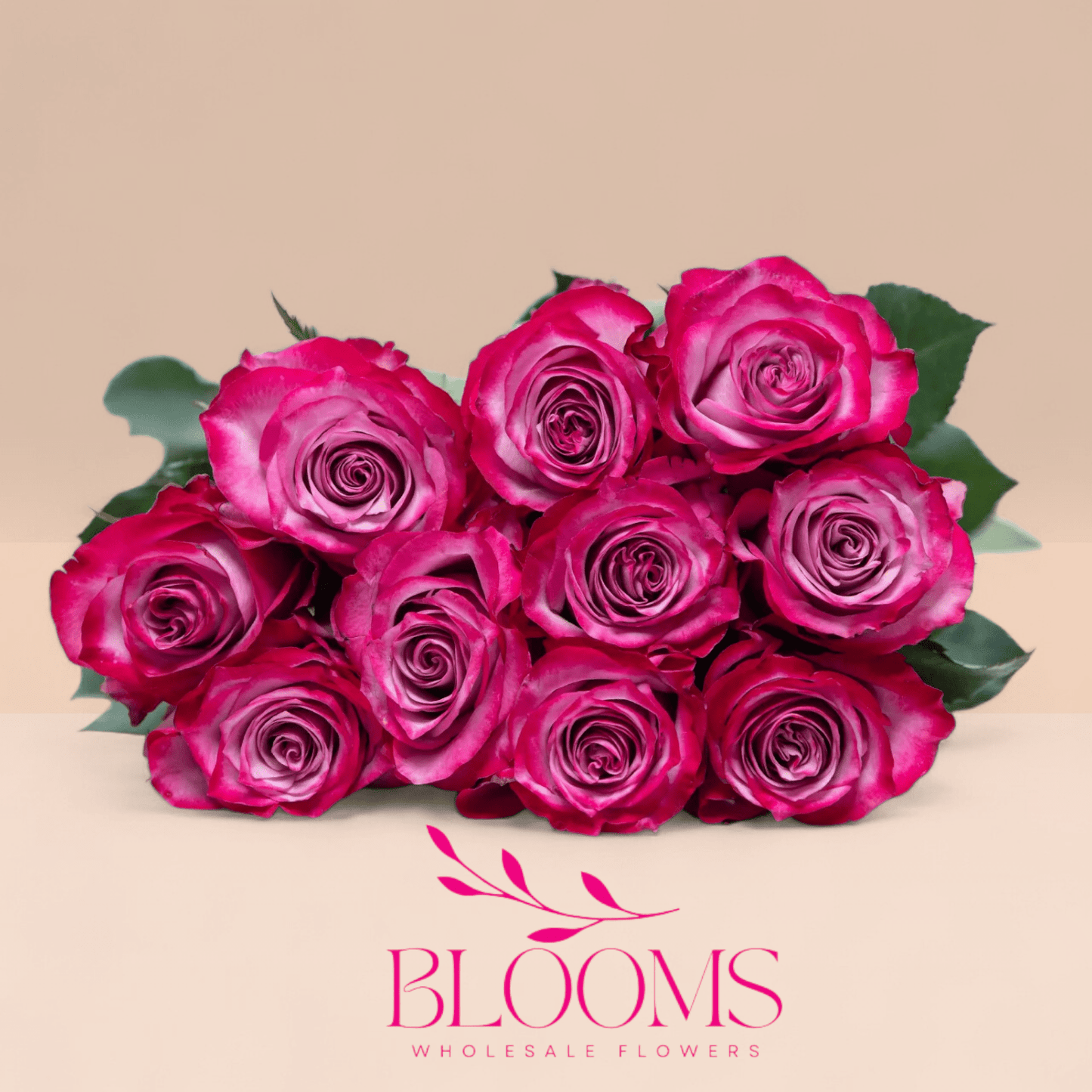 Deep Purple - Blooms Flowers