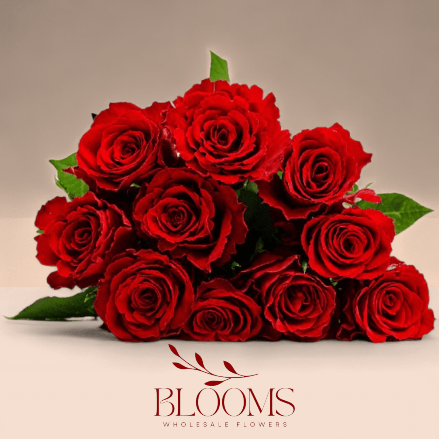 Madam Red - Blooms FlowersMadam Red