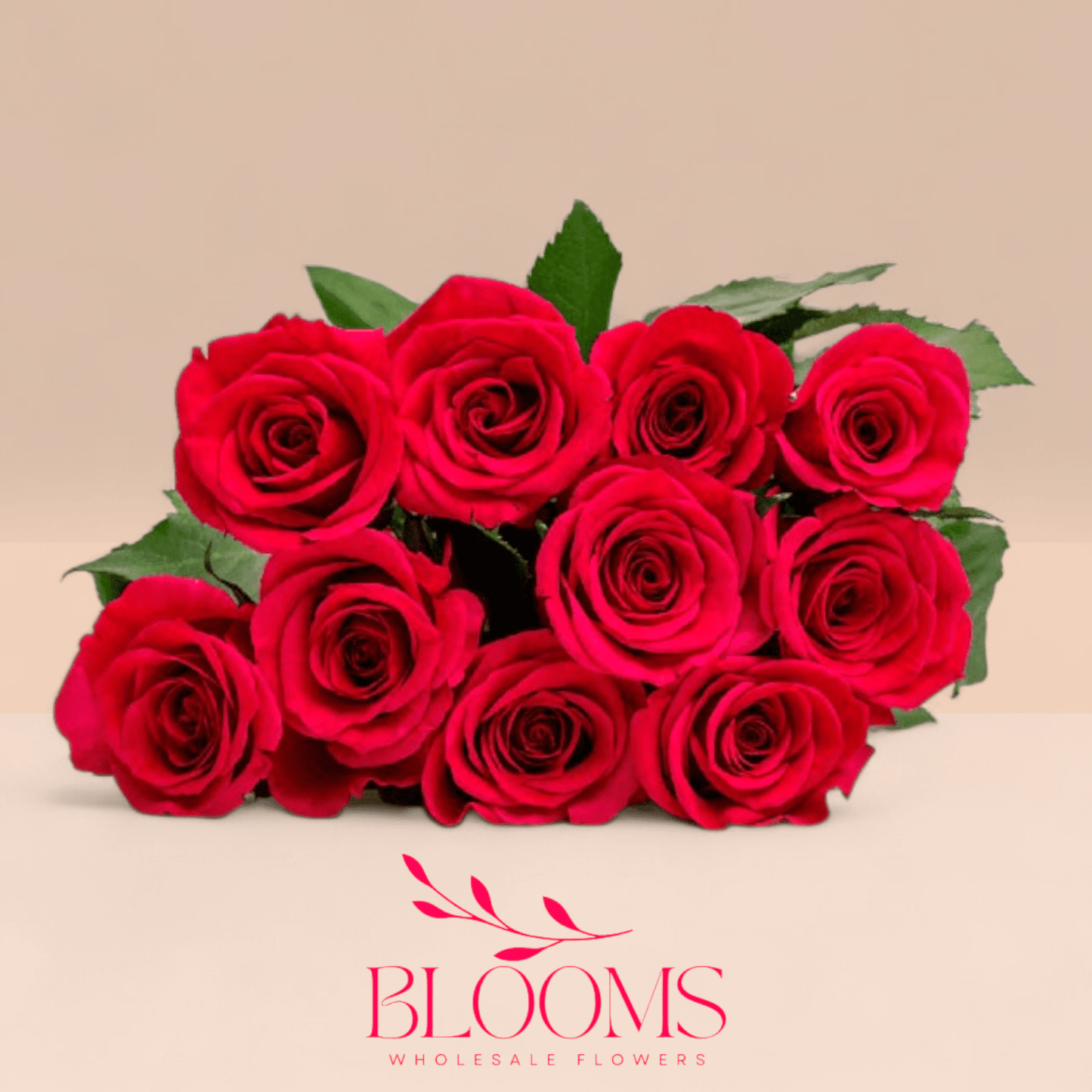 Dark Pink - Blooms Flowers
