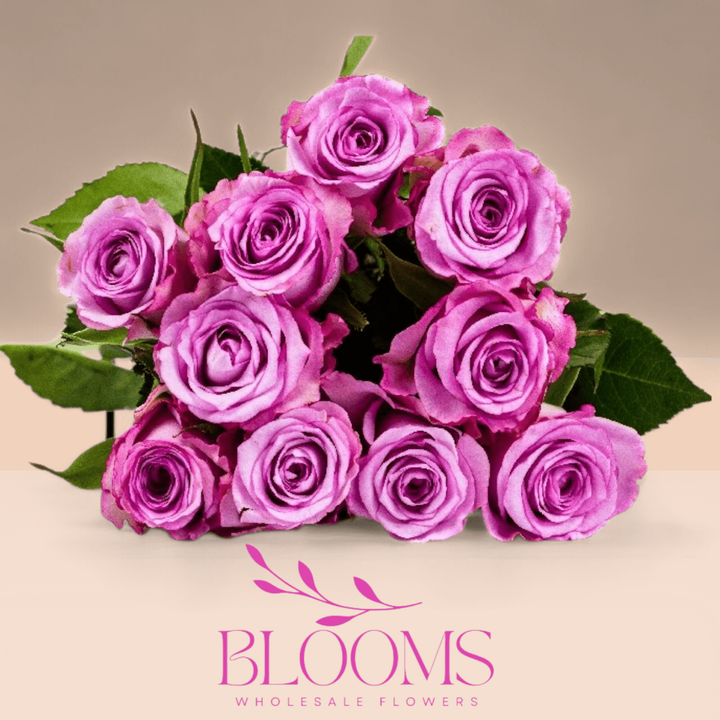 Thriller - Blooms Flowers