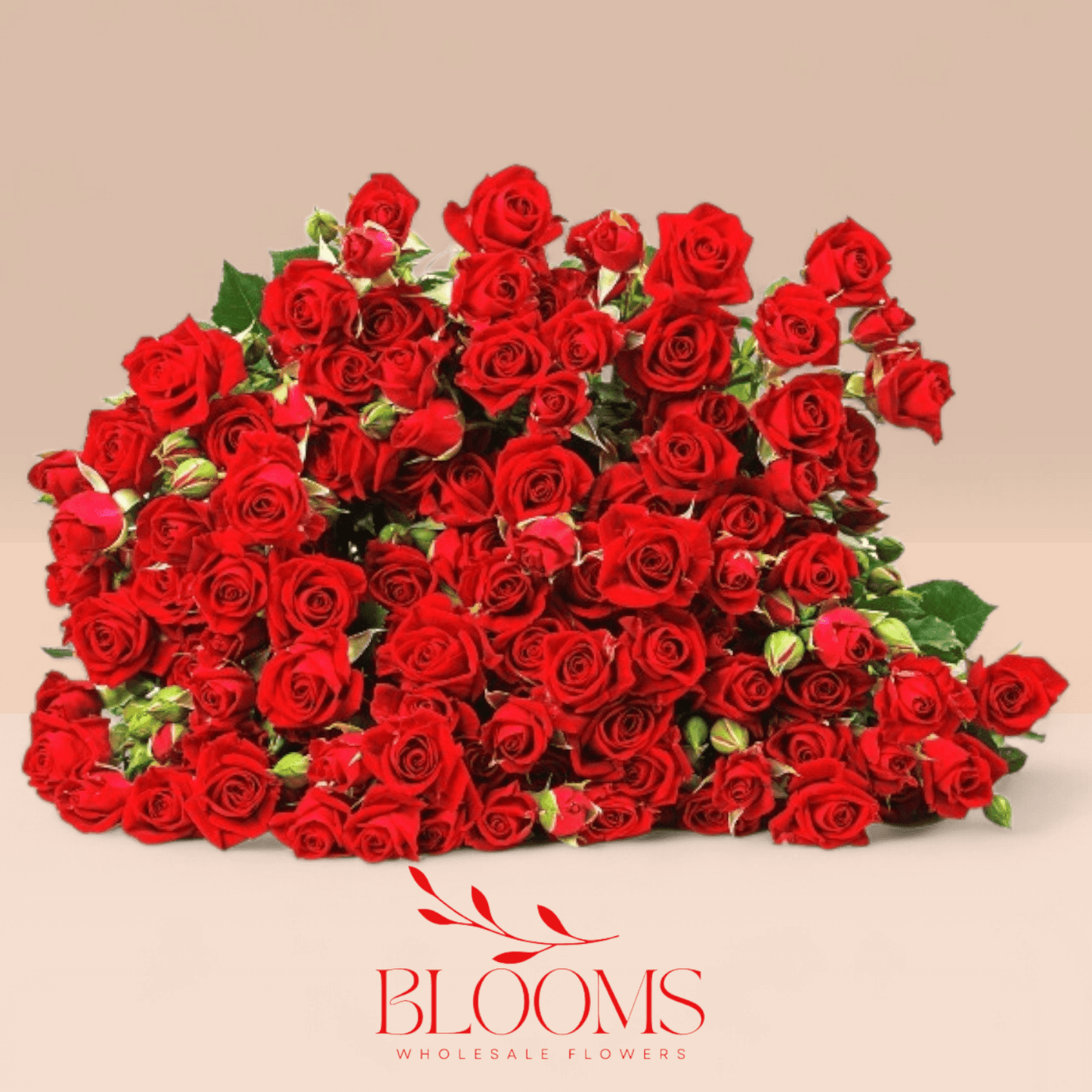 Spray Rose Red - Blooms Flowers