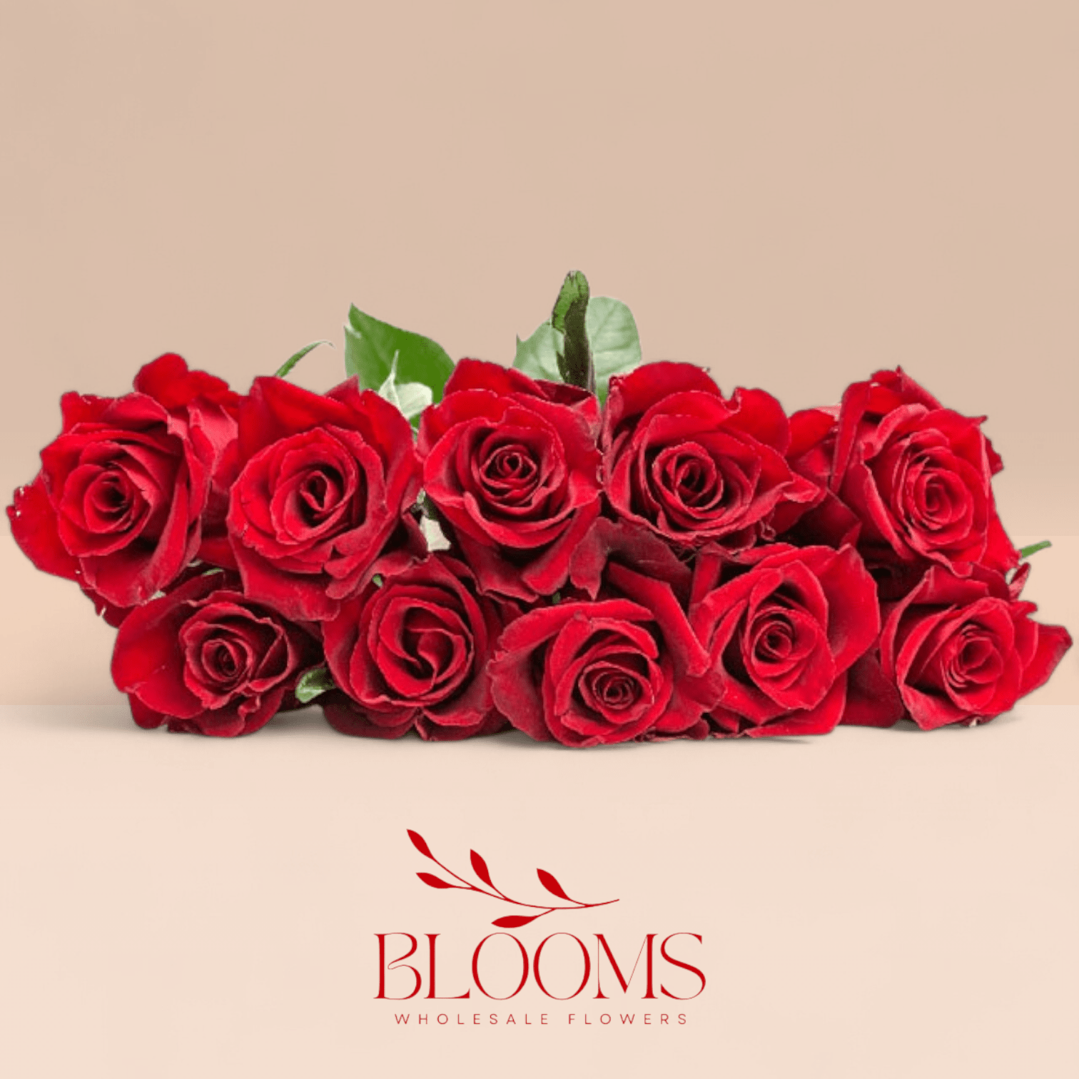 Ever Red KE - Blooms Flowers