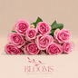 Light Pink - Blooms Flowers