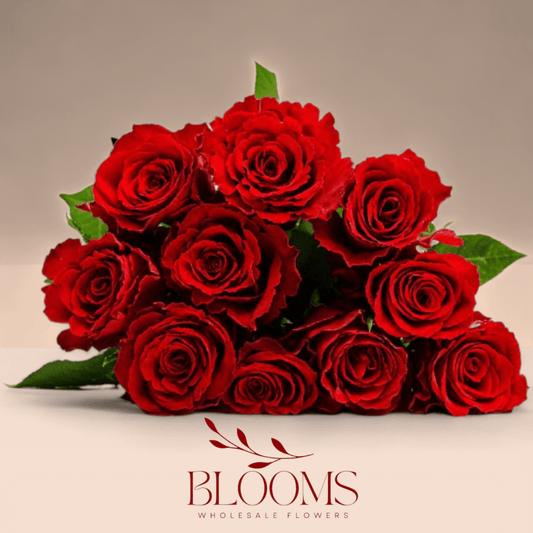 Madam Red - Blooms FlowersMadam Red