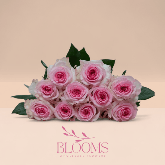 Mandala - Blooms Flowers