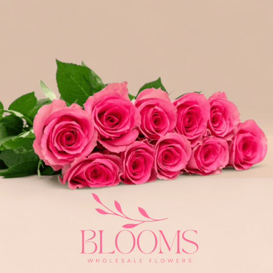 Revival - Blooms Flowers