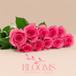 Revival - Blooms Flowers
