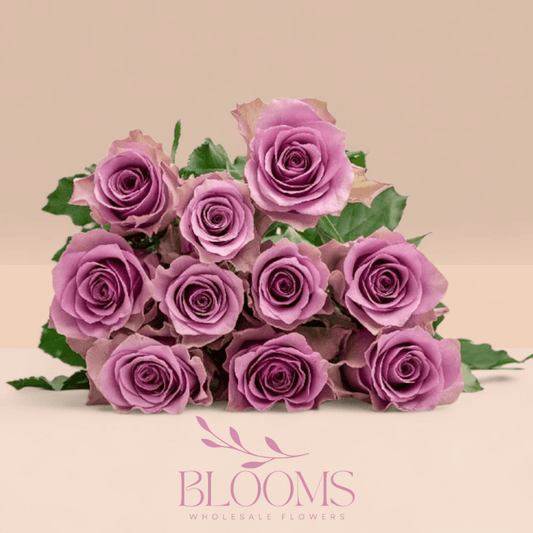 Nightengle - Blooms Flowers