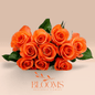 Confidential - Blooms Flowers