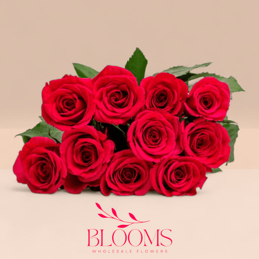 Dark Pink - Blooms Flowers