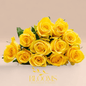 Yellow - Blooms Flowers