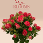 Spray Rose Fireworks - Blooms Flowers